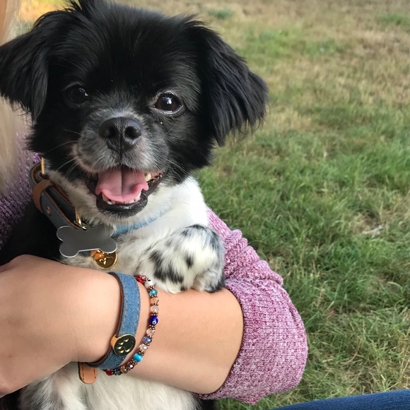 Meet your Posher- Taylor - Picture 3 of 4